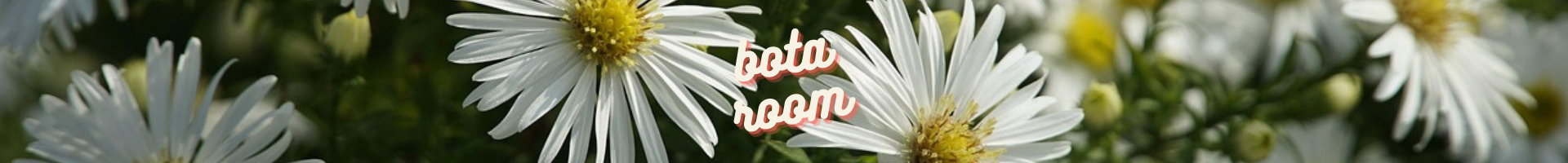 ぼたroom